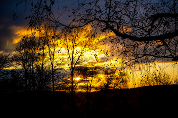 Obraz premium Sunset, view through the grass in the field 