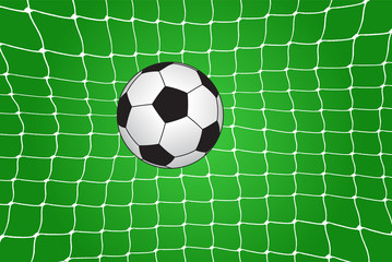 Soccer ball in the net