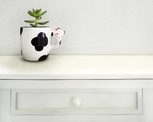 Gordijnen Little Succulent in a Funny Shape Cow Cup © vali_111