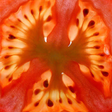 Macro of a thin tomato slice