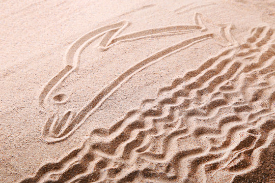 Dolphin drawn on the beach sand