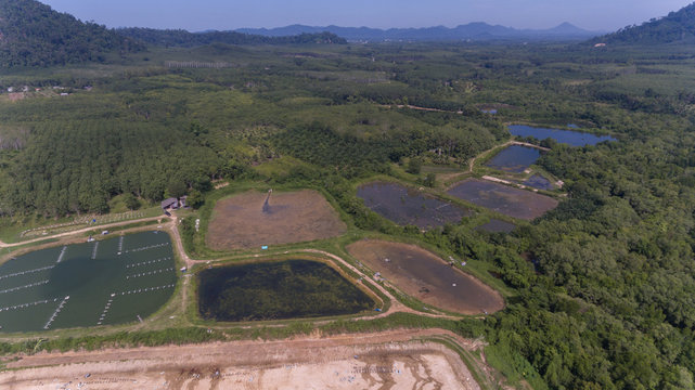 Aerial shrip farm in South of Thailand