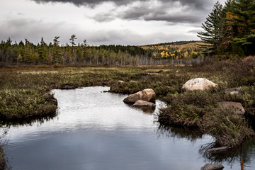 Fototapeta na wymiar Dark Clouds Over Marsh in Northern Maine