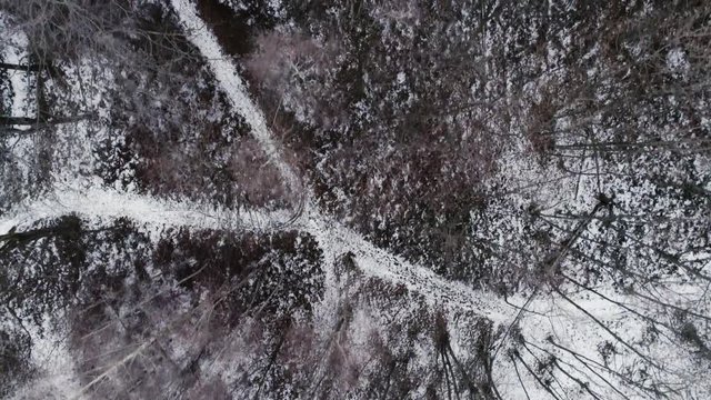 Overhead aerial drone flight establisher over snowy forest woods. Winter snow in mountain nature outdoors. straight-down perspective travel exploring Alps. 4k top view video