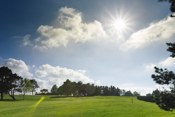 General view of a green golf course on a bright sunny day. Idyllic summer landscape. Sport, relax, recreation and leisure concept