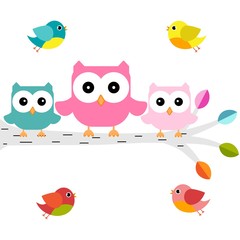 owls on a branch with birds