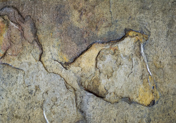 Abstract Textures: Old Sealed Slate Floor