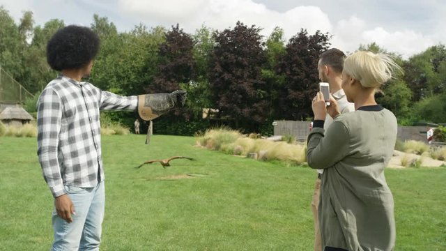  Visitors to a falconry centre handling & taking photo of a golden eagle