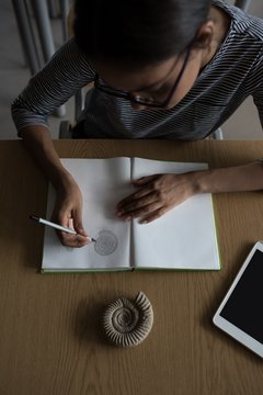 Woman drawing shell diagram in book