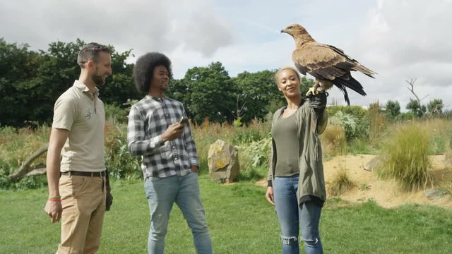  Visitors to a falconry centre handling & taking photo of a golden eagle