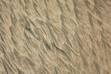 beautiful structure of sand drawings from the wind on sand