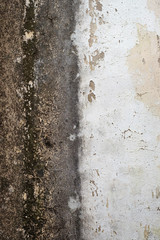 texture of the wall with mold and rust and cracks and peeling plaster