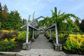 Fototapeta na wymiar Rose garden in Stanley Park. Vancouver. British Columbia. Canada