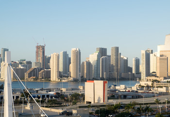 Miami City Scape