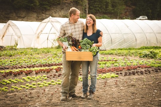 Mature couple holding crate of vegetables