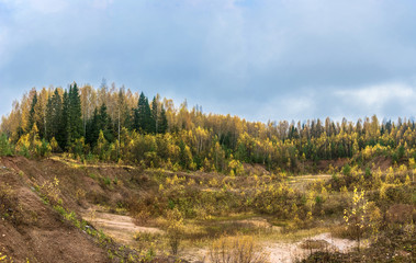Fototapeta na wymiar Golden autumn in the Kostroma region.