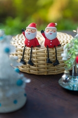 Santa Claus toy in the garden