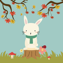 cute rabbit inautumn