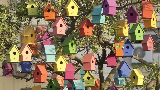 Colourful Wooden Bird Houses  Swaying On the tree. Illustrate housing problem