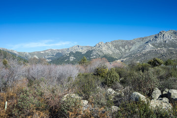 Views of Guadarrama Mountains (Madrid, Spain) with La Bola del Mundo peak, La Barranca Valley and La Maliciosa peak in the background. Photo taken from the River Navacerrada