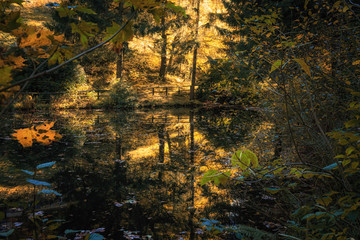 Der See im Wald mit goldigen Herbstfarben