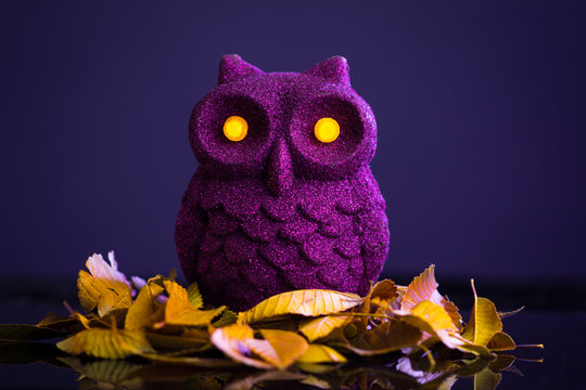 Purple Owl With Sparkles