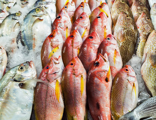 Fresh seafood background