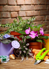 Gardening tools of shovel rake labels and watering can on wooden table
