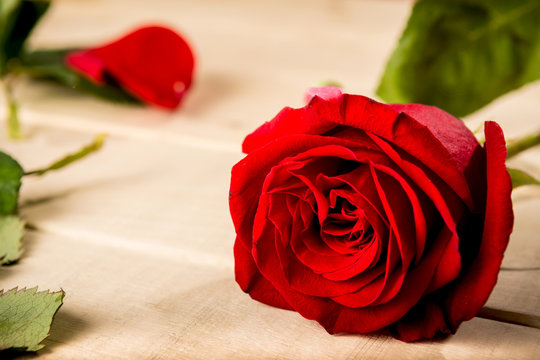 photo of a red rose and rose petal on a wooden table