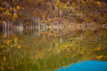 colorful autumn trees reflecting in lake