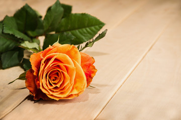 photo of a tea-colored rose on a wooden table