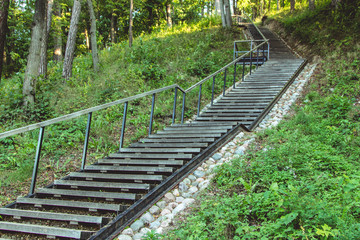 Fototapeta premium A ladder with wooden steps leading up. forest background