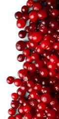 Cranberry.