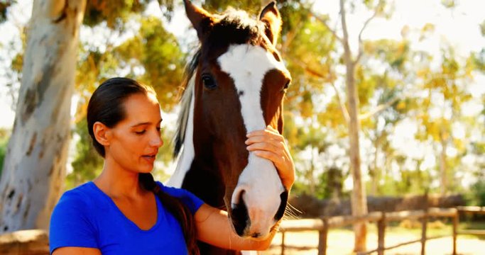Woman grooming the horse in ranch 