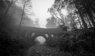 Black and white old bridge