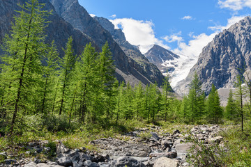 Fototapeta na wymiar View on Glacier small Aktru. Altai Republic. Russia