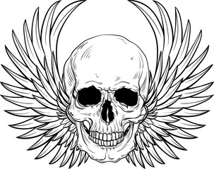 Fototapeta premium Human skull with wings for tattoo design.