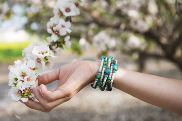 Girl's hand with bracelets holding an almond tree branch with pink and white flowers in orchard with petals covering the ground appearing like snow.