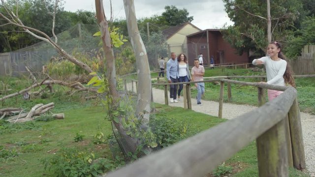  Happy family looking into wallaby enclosure at wildlife park