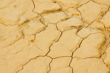 Dry Cracked Earth Background