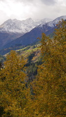 Schweiz Engadin Tarasp 54