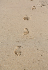 Close-up Footprints in the sand.