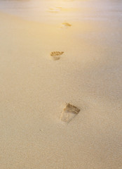 Fototapeta na wymiar Footprints in the sand background with reflect rays of sunlight.