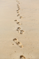 Human footprints on the beach sand.
