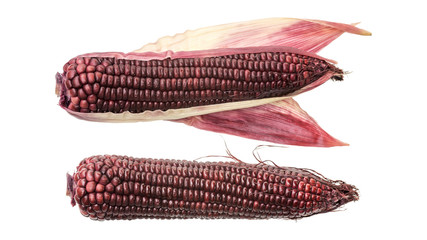 Purple corn on a white background.