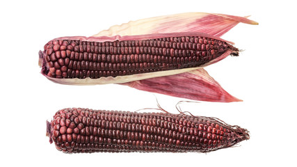 Fototapeta premium Purple corn on a white background.