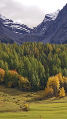 Schweiz Engadin Tarasp 63