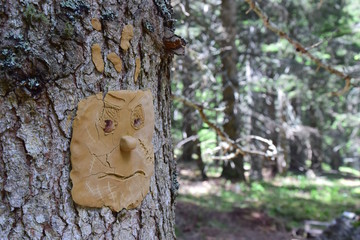 Waldgeist und Baumgeist