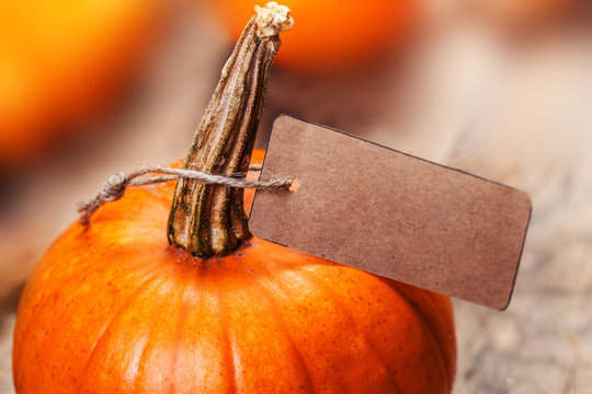 Happy Thanksgiving holiday card with orange pumpkins and paper price tag, autumn shopping concept.