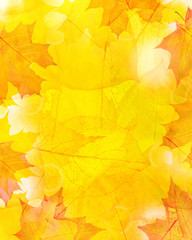 golden leaves abstract background